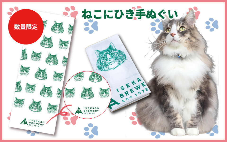 ねこにひき手ぬぐい
