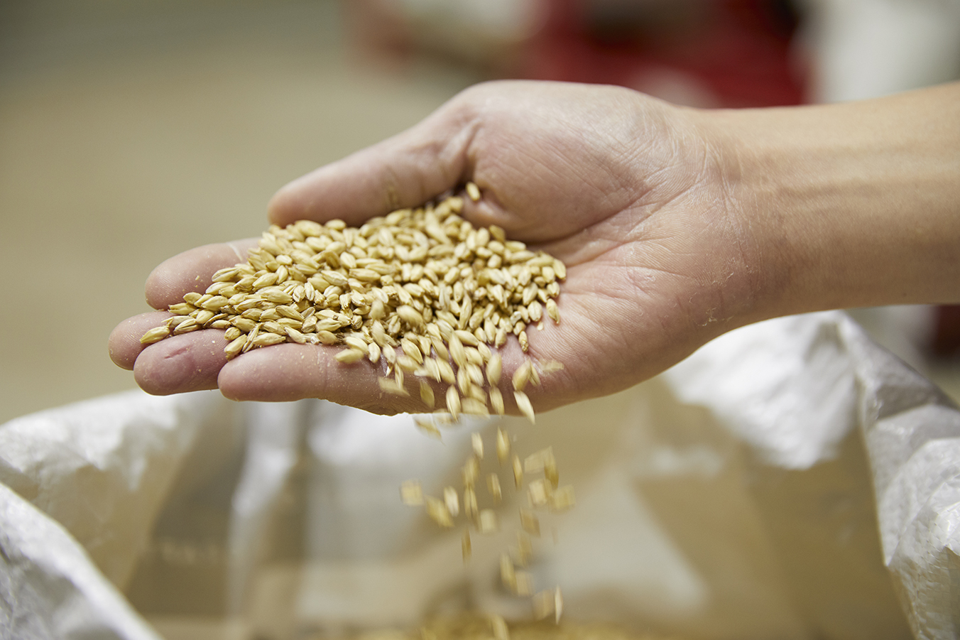 Dank Dank Dank!!きっかけ