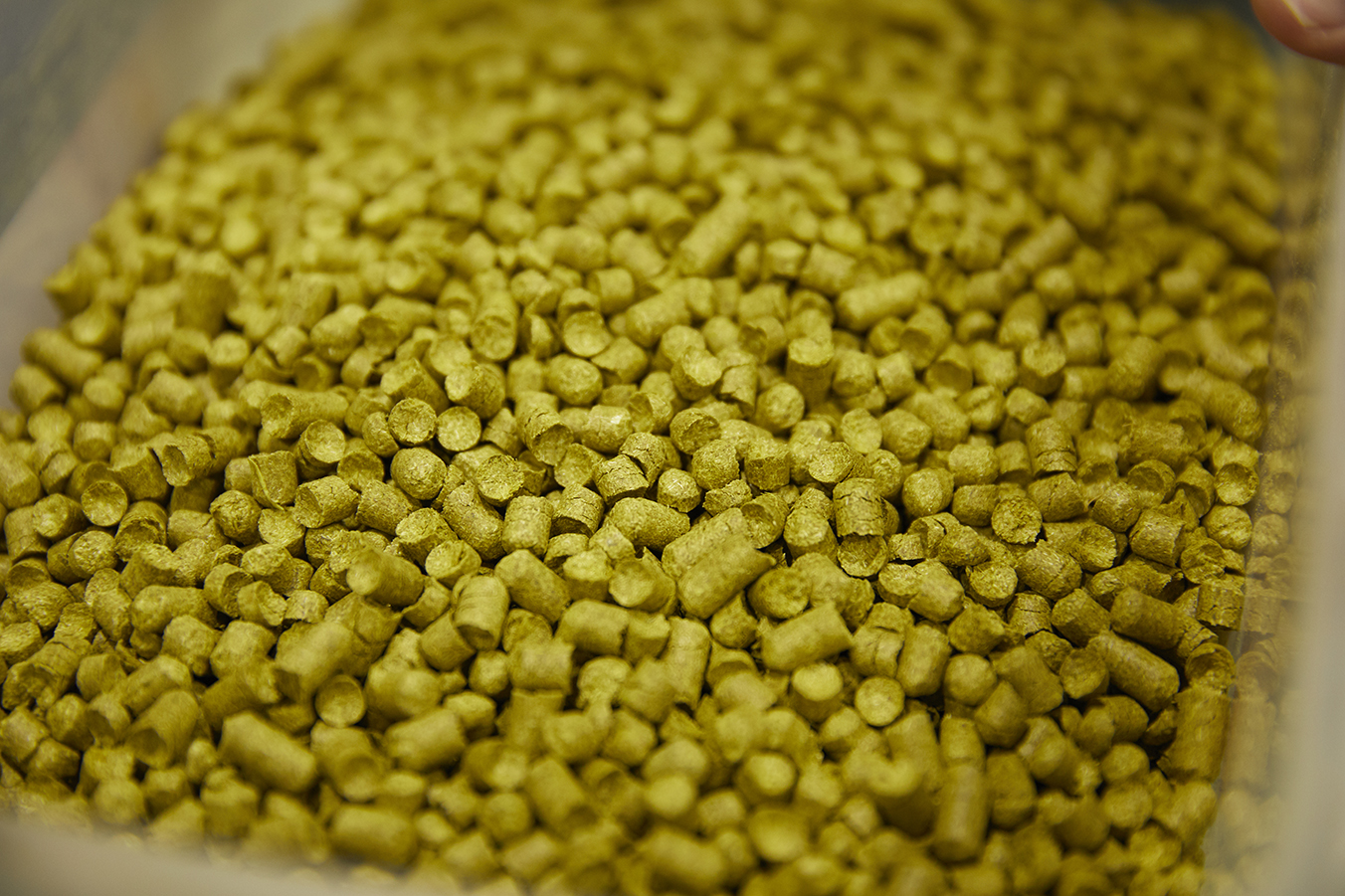 Tropical Neo Pale Aleこだわり