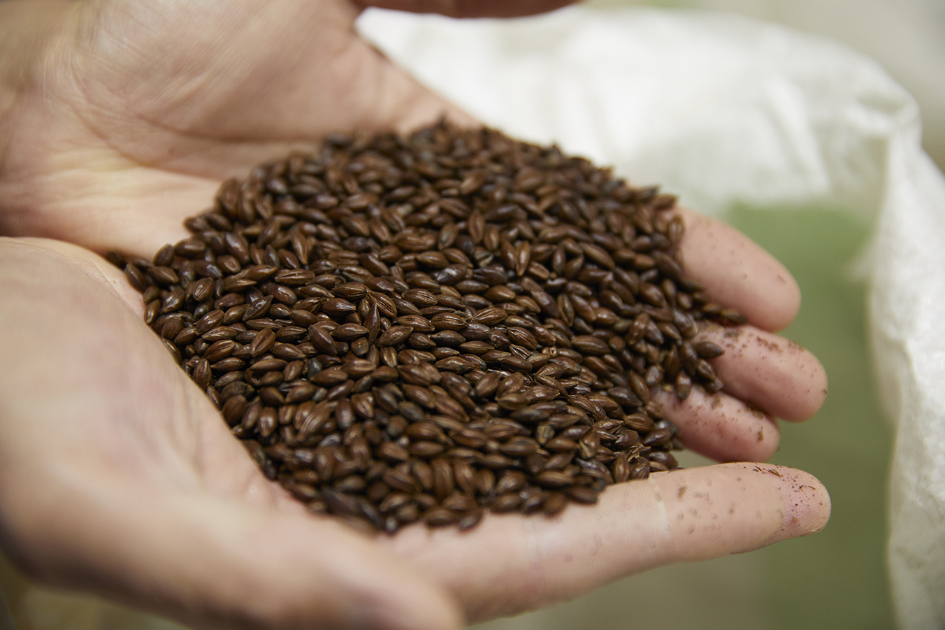 Imperial Red Aleこだわり